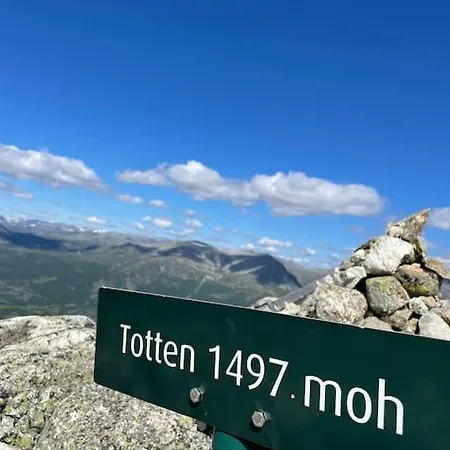 Eksklusiv Ved Fyri - Utsikt Ferienhaus Hemsedal